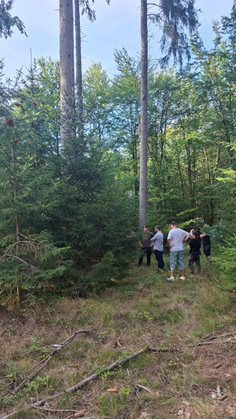Baum2.png