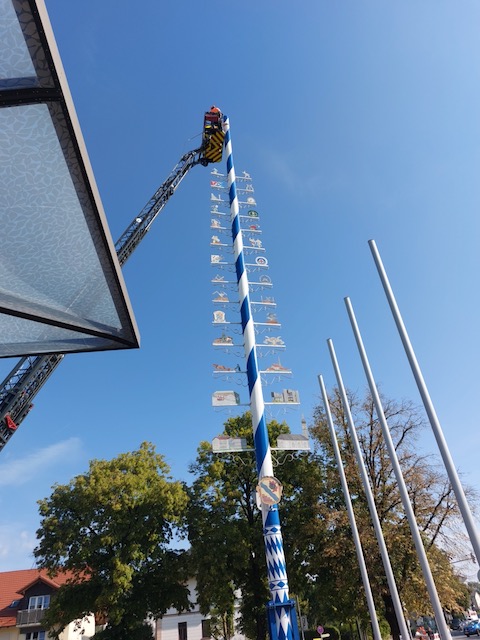 2024 maibaum kuerzen 1 20240808 1863017161