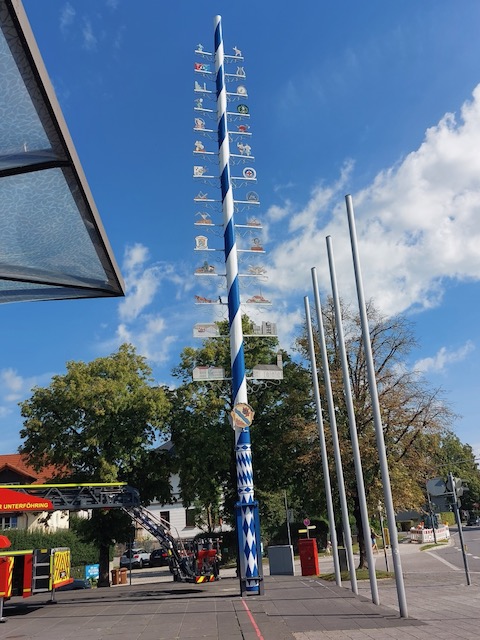 2024 maibaum kuerzen 2 20240808 1715666654